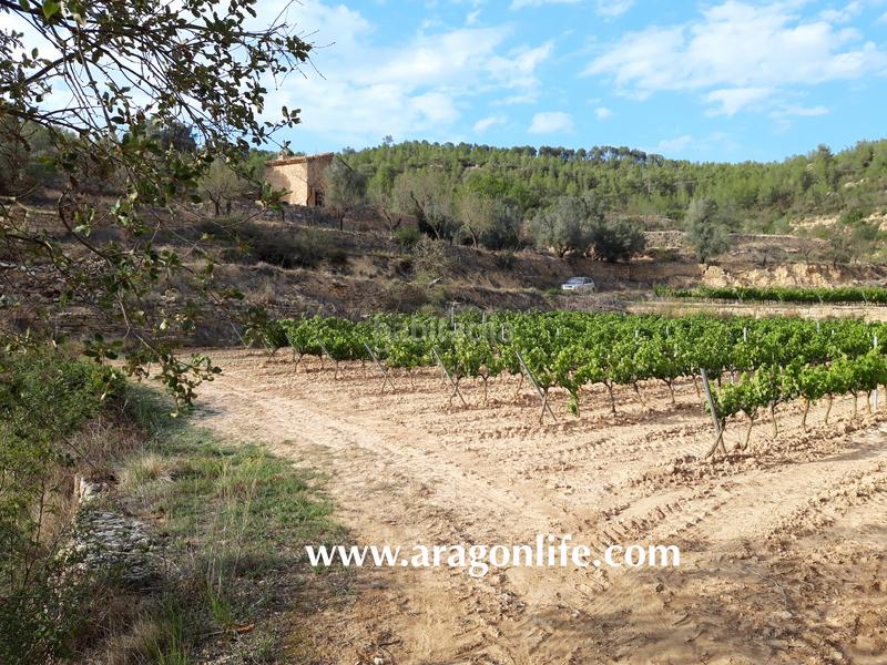Foto 6af6245f-b774-4f35-8572-b063e1f76d2c. Masia a Caseres