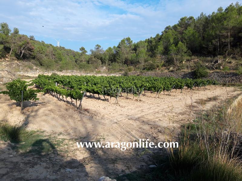 Foto 7f77cec6-7c81-428a-a870-570bbac13c9f. Masia a Caseres