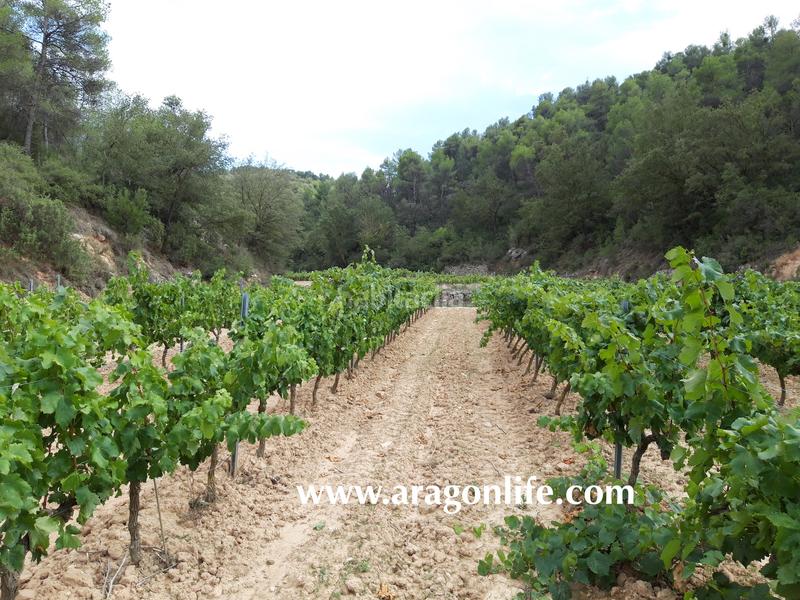 Foto ba929e10-1669-4bab-a31f-b35dadf91e24. Masia a Caseres