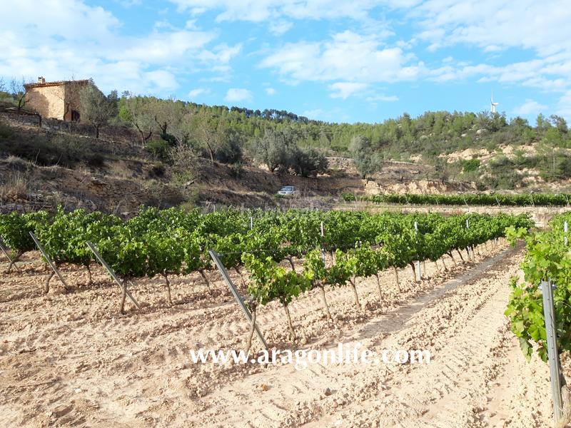Foto ffbb0976-dd63-40ed-a715-560dbd44ef51. Masia a Caseres