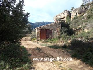 Masia  N/a. Finca de olivos de 108.773m2 con posibilidad de agua + edificaci