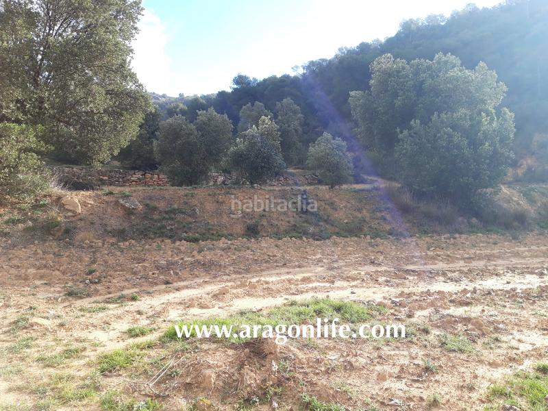 Foto 05070bdd-aded-46d2-834c-3f433af2085e. Casale in Batea