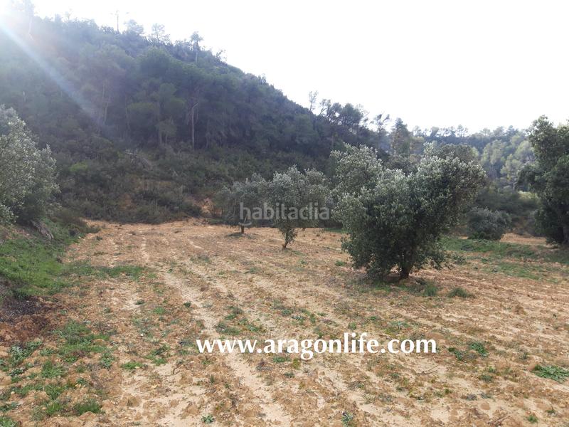 Foto 0818ce02-a11a-419a-93d0-2208b91b5988. Casale in Batea