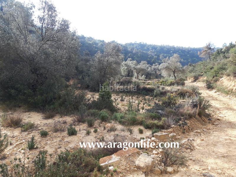 Foto 0d718de5-ec69-4872-bf69-f08bbef8e0b3. Casale in Batea