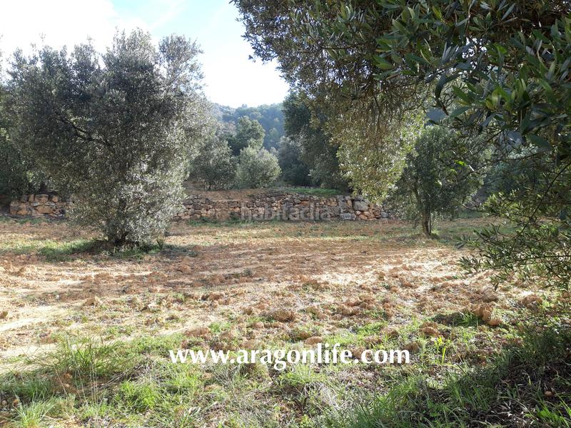 Foto 2b1a886f-fbae-4c6d-8453-4abf9fa4455f. Casale in Batea