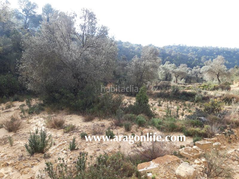 Foto 32c03543-28d5-46ad-8293-5de5fb2c5c90. Casale in Batea