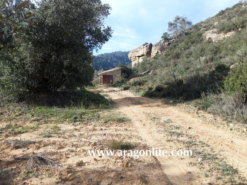 Foto 45f05a26-6d75-4edb-ab3f-71c6dc250289. Casale in Batea