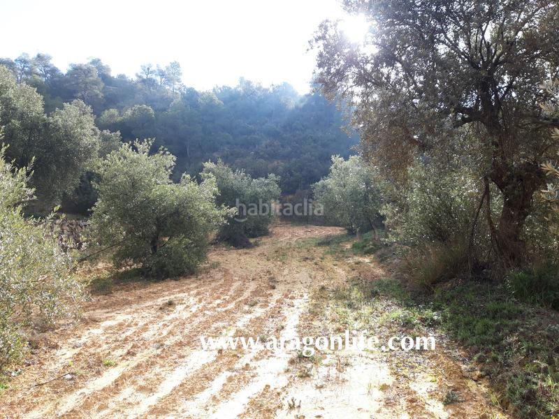 Foto 51c75493-eaa3-40f4-951a-de636aecb928. Casale in Batea