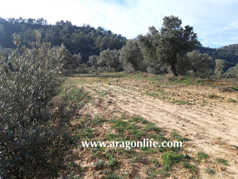 Foto 537ade2a-8d75-4cc6-8b40-f7461cdf4c68. Casale in Batea