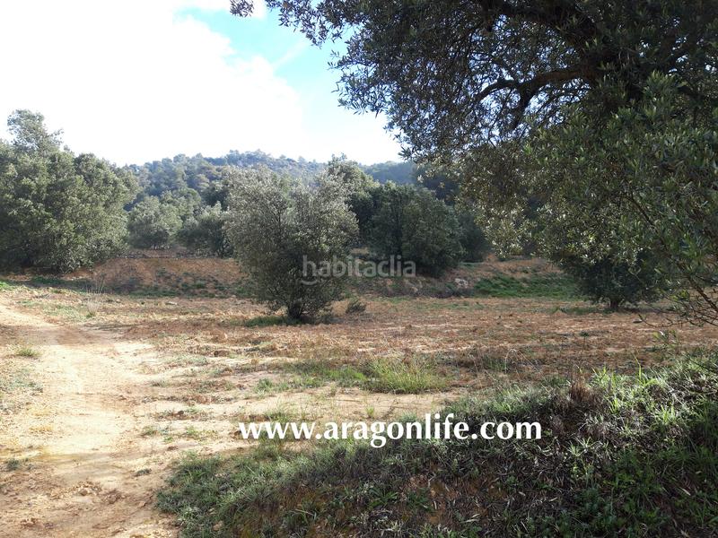 Foto 5e32d7d7-790f-4cce-afee-f4656aae0b83. Casale in Batea