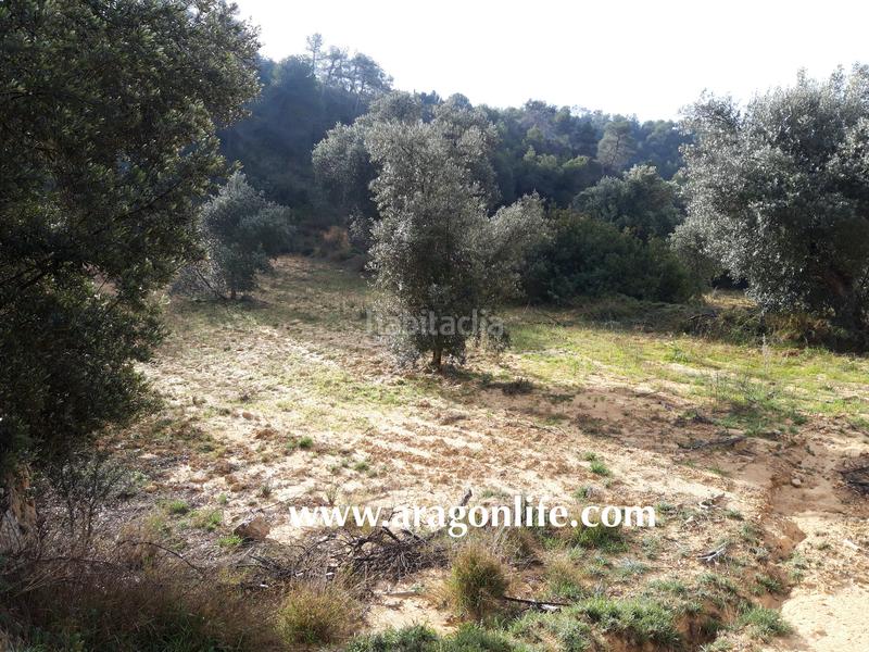 Foto 62835553-d7ce-4430-916c-e4895dbef13f. Casale in Batea