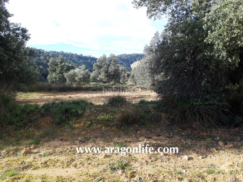 Foto 6411104f-13a0-4b4f-8088-d4641d1ba753. Casale in Batea