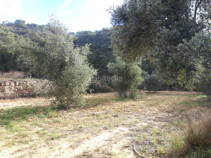 Foto 69845bab-0673-4678-9e3a-1bd1f41ed74e. Casale in Batea