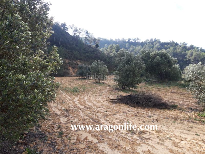 Foto 759a4c6e-40af-427e-9073-aaae3582a69f. Casale in Batea