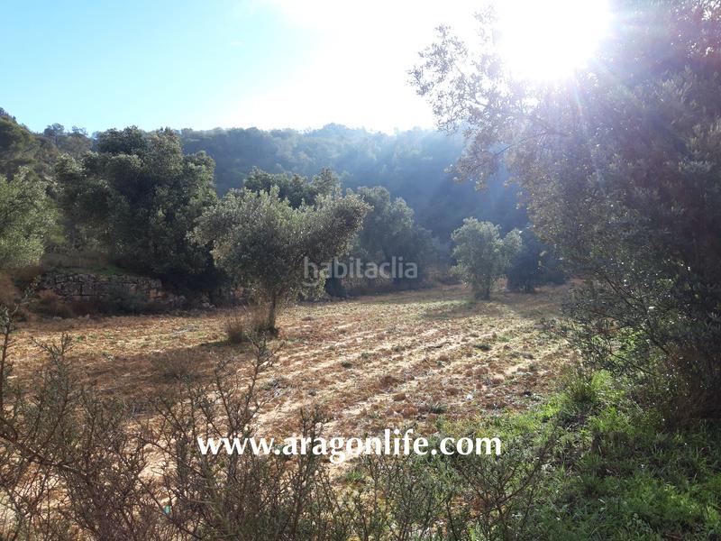 Foto 7c72127a-0965-4fdc-8d2d-4a1d97d84b49. Casale in Batea