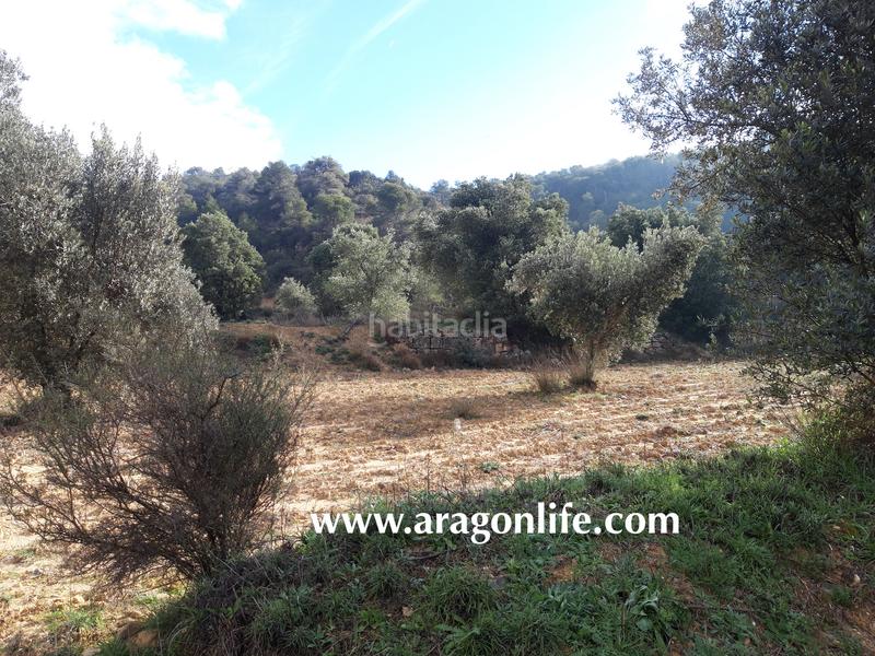 Foto 83586d47-1743-4d39-a15f-a5733331d569. Casale in Batea