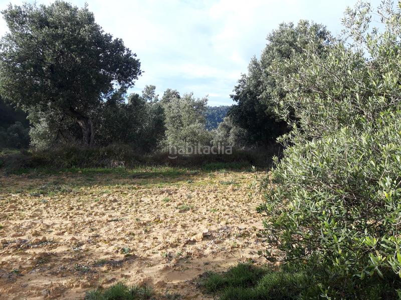 Foto a4035658-2725-410a-b196-0bc1c81bfa28. Casale in Batea