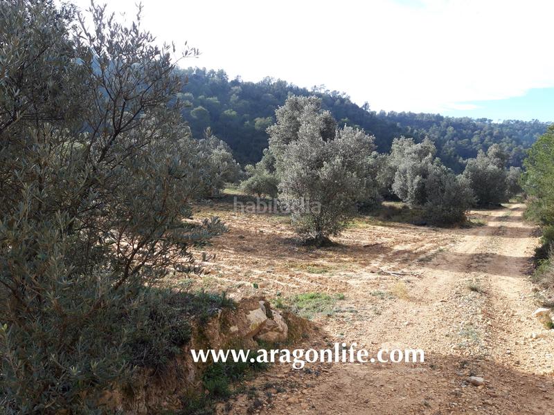 Foto b00c5e27-6955-483f-93a7-d78be3c4af7f. Casale in Batea