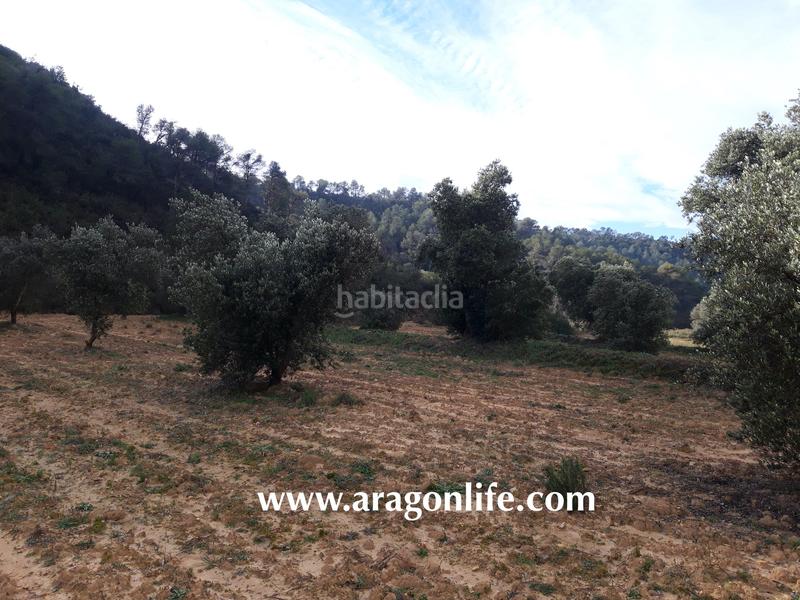 Foto b9391512-3096-4c4a-a7c7-576b3a502640. Casale in Batea