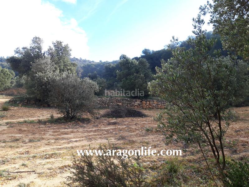 Foto c4d53983-bbd0-4f15-a6bd-ac7d159e57c4. Casale in Batea