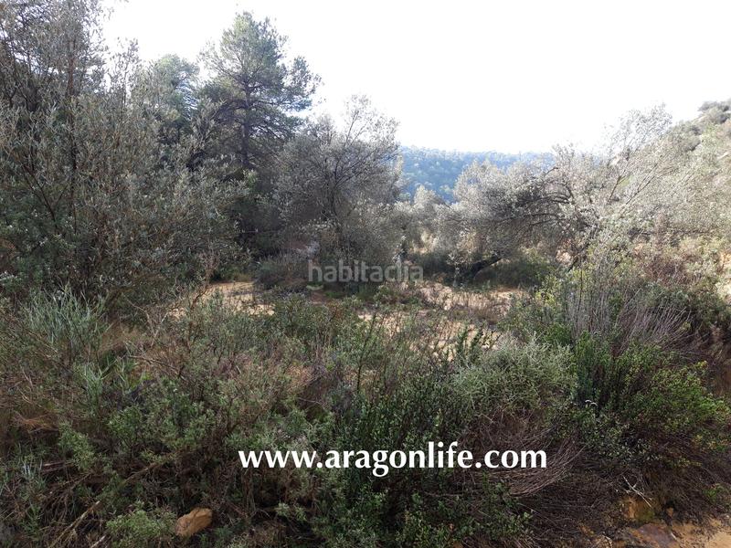 Foto e20ee7f5-f91f-4e20-ad3e-bcc2bae980d8. Casale in Batea