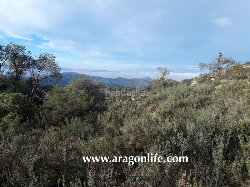 Foto ecaf36ad-b91d-4123-8fd0-4463eda7649a. Casale in Batea