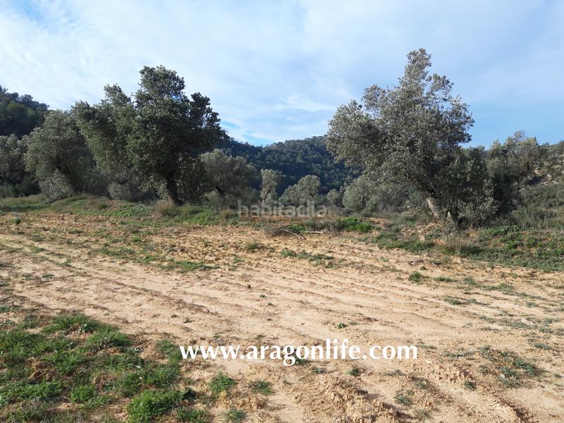 Foto ff34a53a-e551-4e96-8939-0c1d6baea02d. Casale in Batea