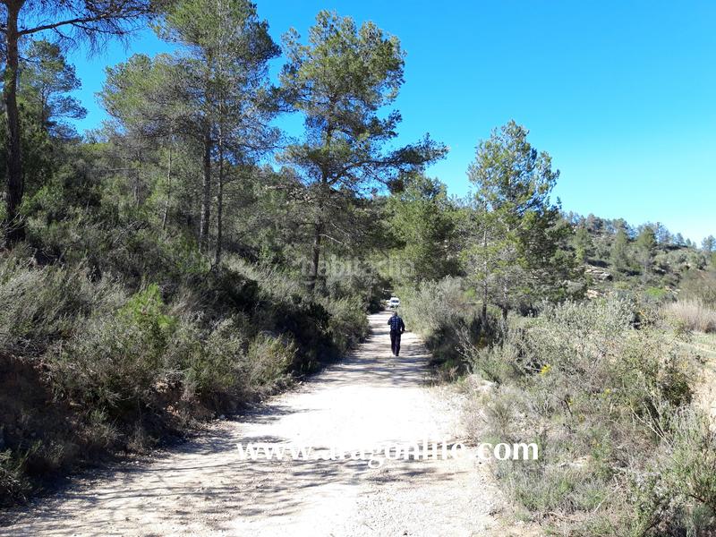 Foto c4ba5155-d10c-4e3b-a8d7-c94dd8e6c43c. Propriété dans Calaceite
