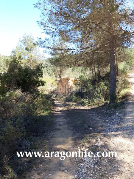 Foto d569884d-ea13-4c4b-9936-3641eeffe77b. Propriété dans Calaceite