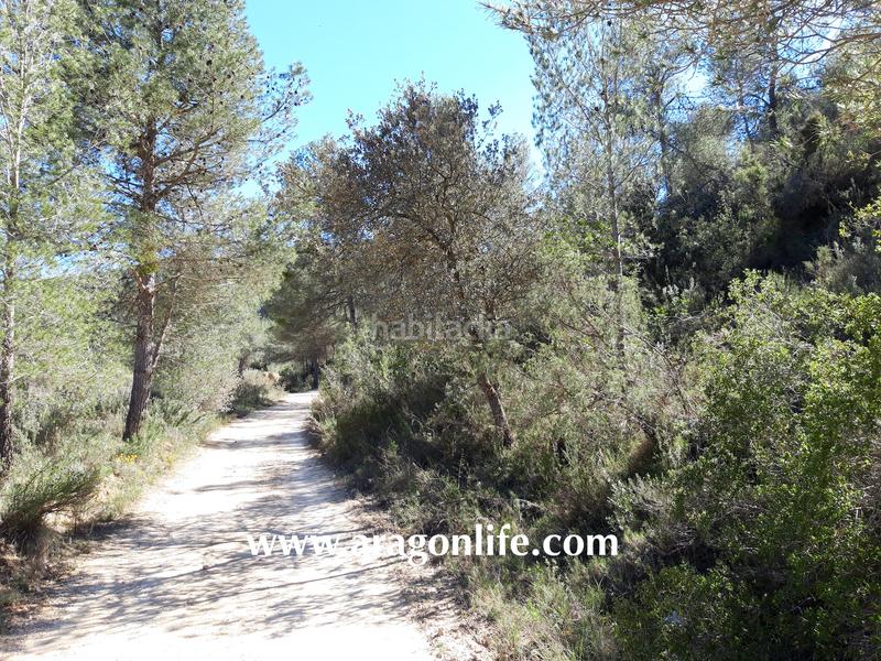 Foto de33eb20-a55b-452f-8948-5413e86be89d. Propriété dans Calaceite
