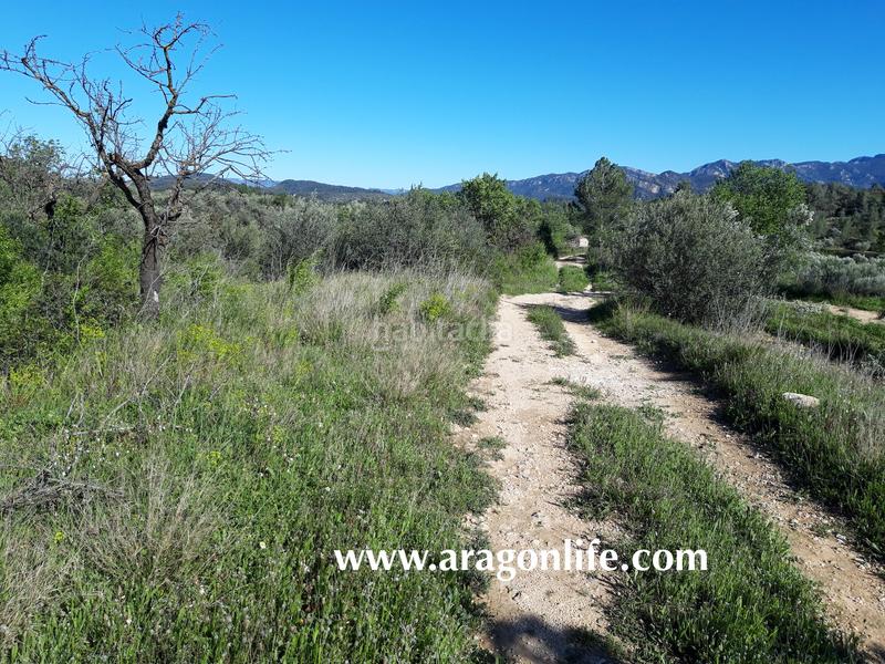 Foto 401a78da-82ed-4127-b0c3-4c849ba9bbe0. Fondo rustico in Pinell de Brai (El)