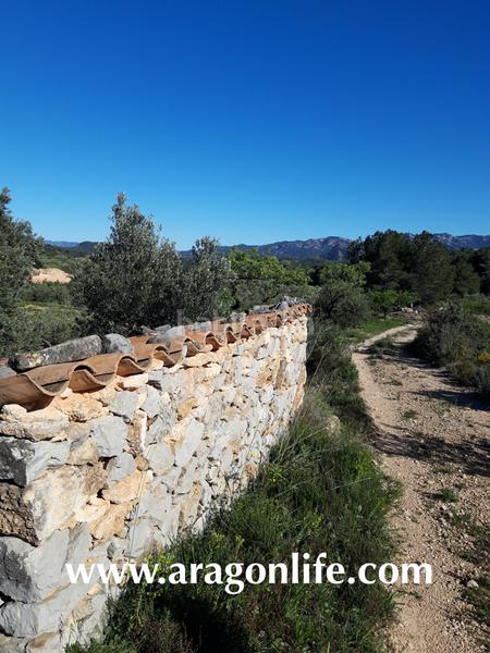 Foto 51a8f835-6e18-4642-9598-1d88e3e23d0c. Fondo rustico in Pinell de Brai (El)