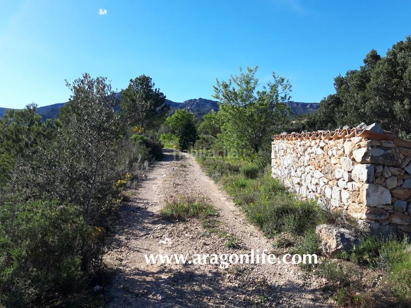 Foto 8193ada9-e872-4538-a998-3c252f4f08dc. Fondo rustico in Pinell de Brai (El)