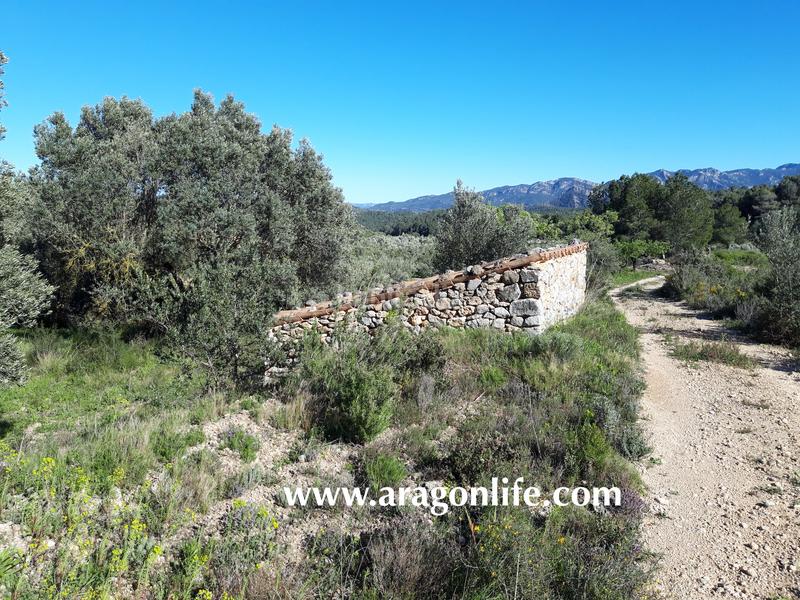 Foto d83e2455-2f02-4477-8dd5-a89c5f28a4d4. Fondo rustico in Pinell de Brai (El)
