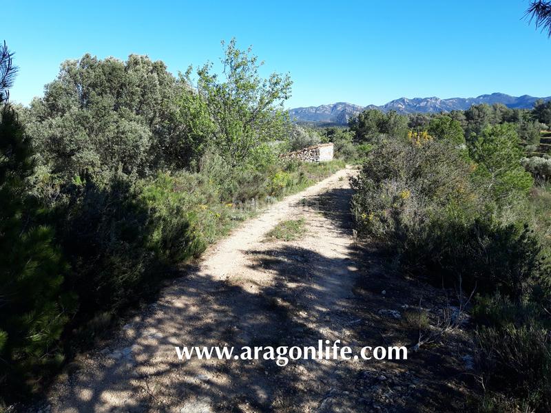 Foto d84d276c-a6f7-46b1-b54f-004d85e710a8. Fondo rustico in Pinell de Brai (El)