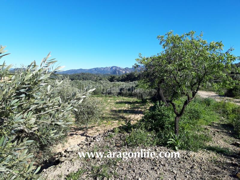 Foto eddf2c23-6b46-4f87-9b32-117f668f4e54. Fondo rustico in Pinell de Brai (El)