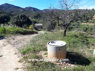 Masia  C-43. Finca de olivos con caseta, cisterna y agua de riego. 35000€