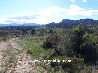 Finca rústica  C-43. Finca con vistas espectaculares. pinell de brai. 23000€