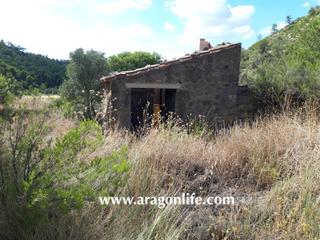 Masia  N/a. Finca de secano + casita. bosque y olivos