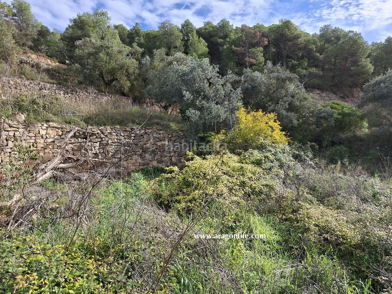 Foto 177da7bf-6d1e-47c5-ad03-4184c42dd611. Rural plot in tv-7232 1 in Vilalba dels Arcs