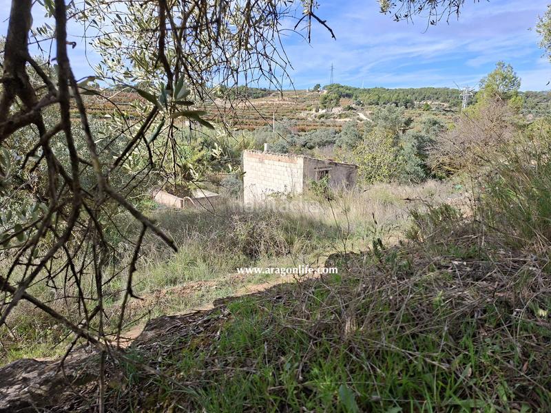 Foto 17de6932-711f-4c70-8f89-7cac9a116ac0. Rural plot in tv-7232 1 in Vilalba dels Arcs