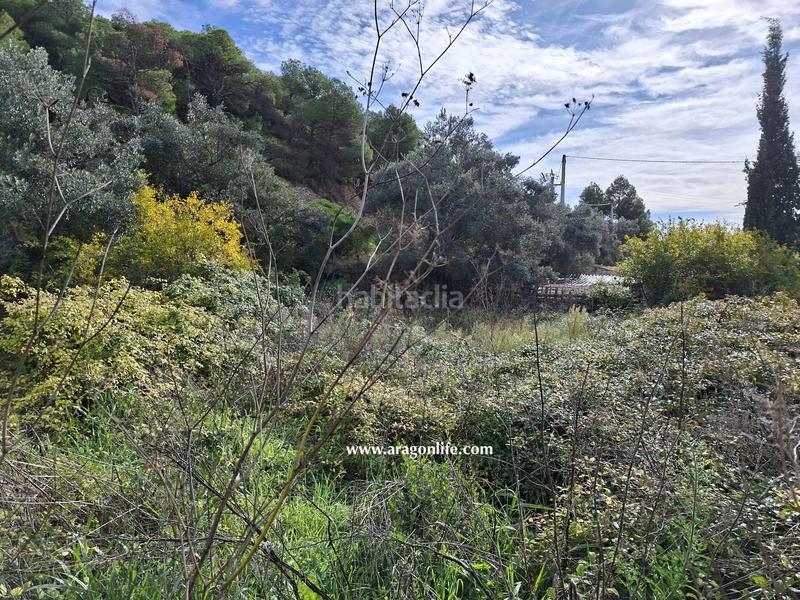 Foto 28cfedec-cda5-4c81-88a9-e9899511ae66. Rural plot in tv-7232 1 in Vilalba dels Arcs