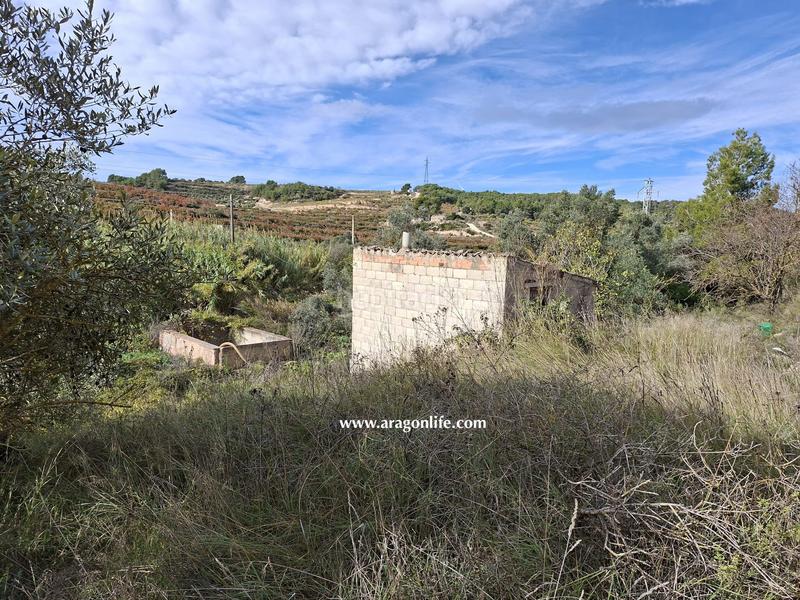 Foto b43e0c59-8fe1-4758-9047-3bb43ff05895. Rural plot in tv-7232 1 in Vilalba dels Arcs