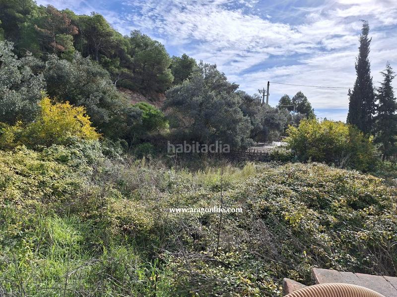 Foto bff5aa18-0243-454b-8eb8-45db13b0a2c5. Rural plot in tv-7232 1 in Vilalba dels Arcs