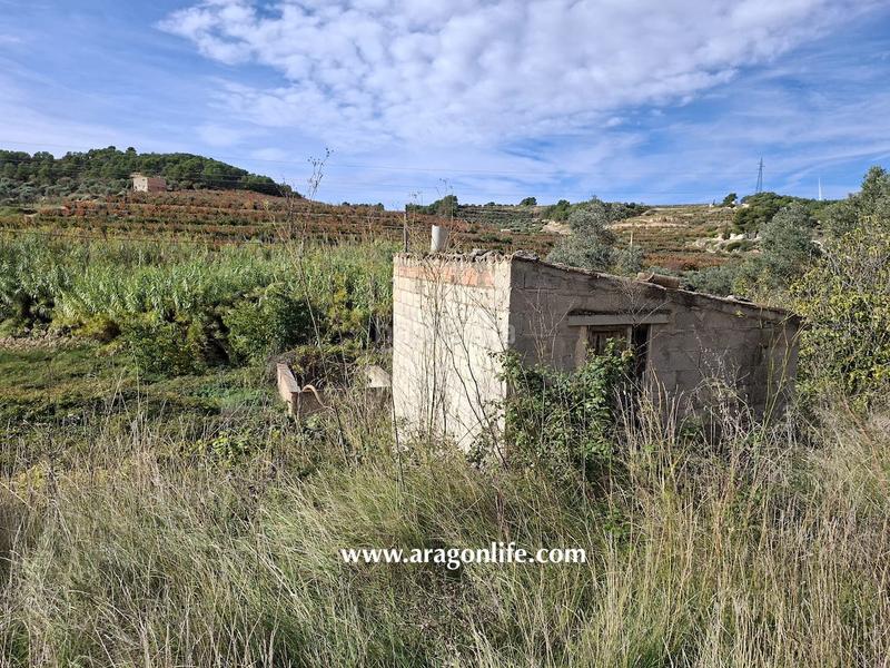 Foto d2834262-e95e-4620-a058-99010be1e882. Rural plot in tv-7232 1 in Vilalba dels Arcs