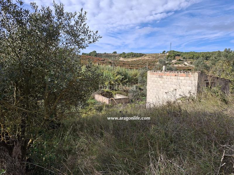 Foto d9607982-3c1a-47fe-aa75-37fb0daee8a0. Rural plot in tv-7232 1 in Vilalba dels Arcs