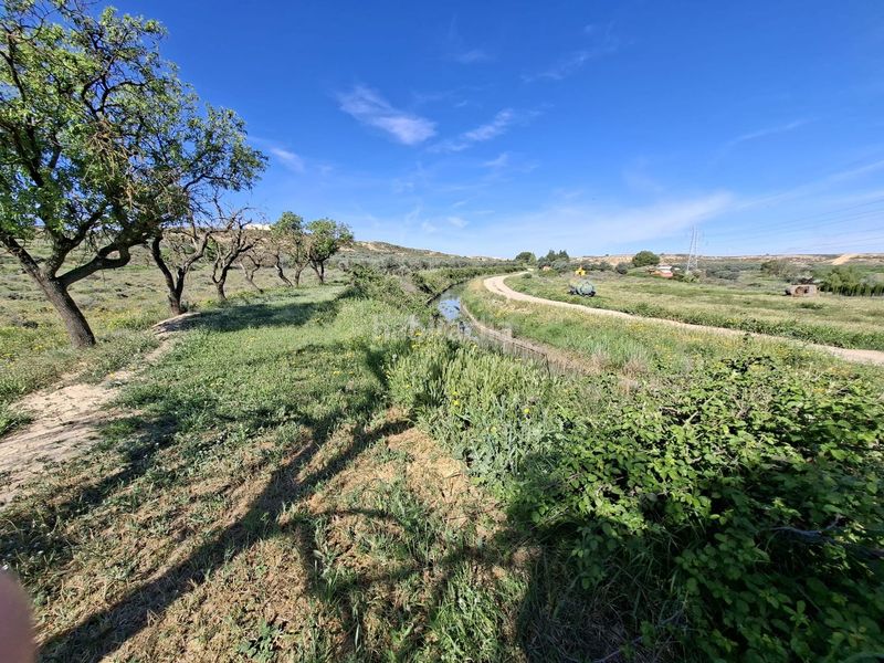 Foto 59bddf76-8a10-4c95-9208-a5d5fd51e075. Finca rústica a Caspe