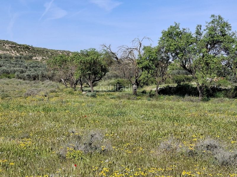 Foto 64768ce0-4482-4104-8d71-4a3fa917c036. Finca rústica a Caspe