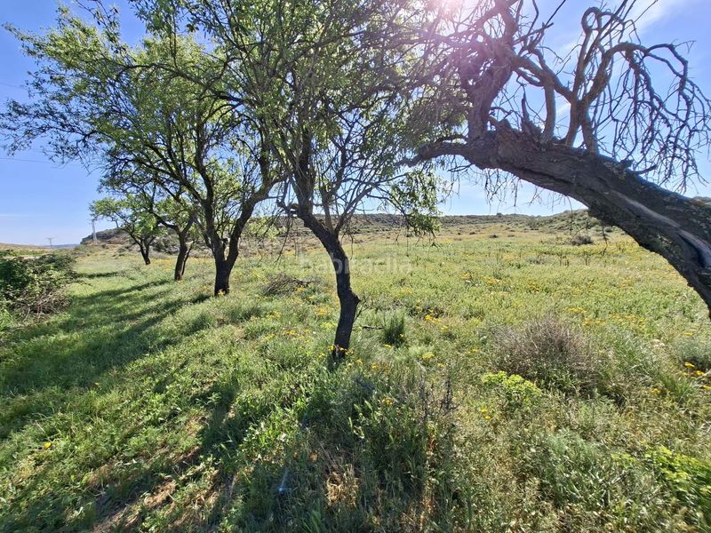 Foto 6a4415fa-4952-4e19-b2eb-0e13bf7a18b7. Finca rústica a Caspe