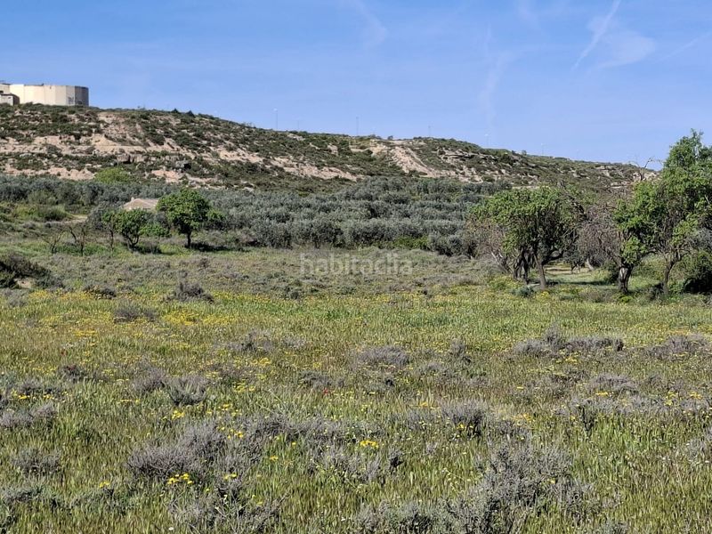 Foto a31f1485-ff94-4dd4-bc48-d58759809e66. Finca rústica a Caspe